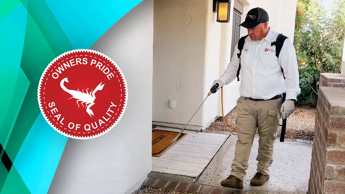 Summer is pest season here in Phoenix. Is your home ready?