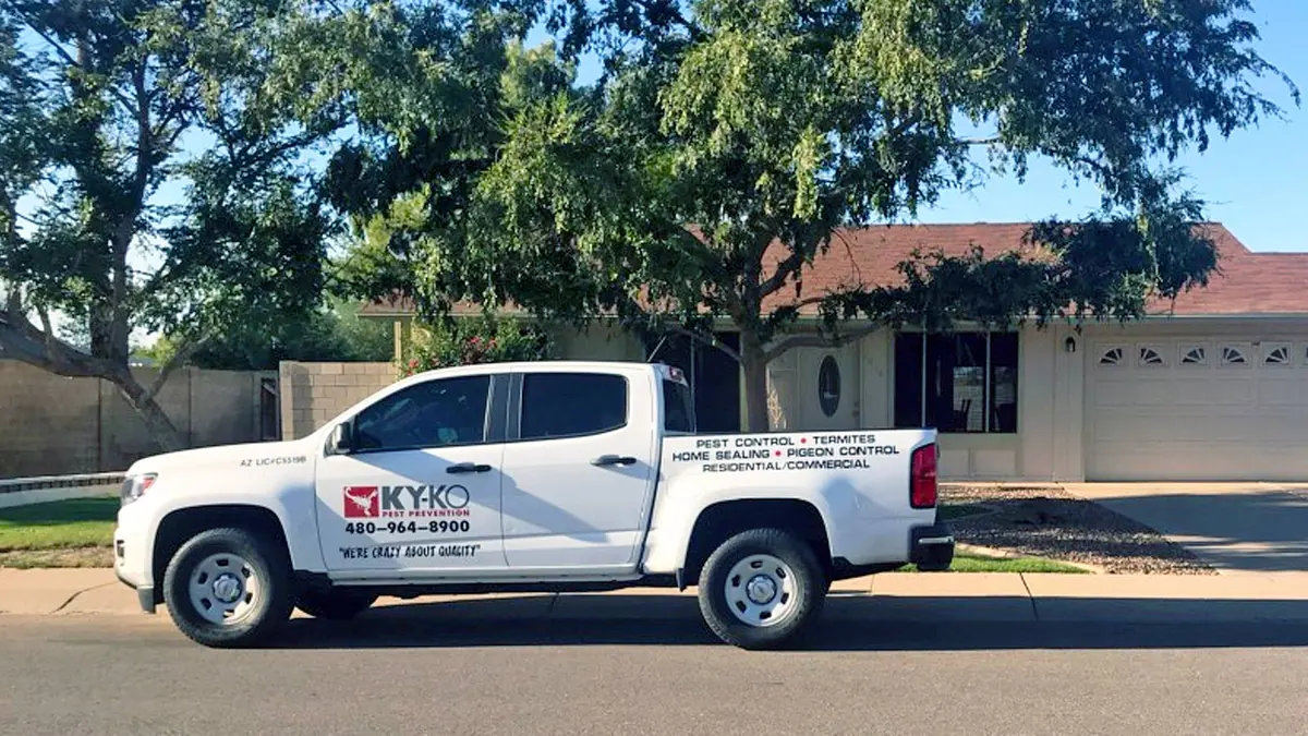 Why Hire Expert Pest Exterminators?