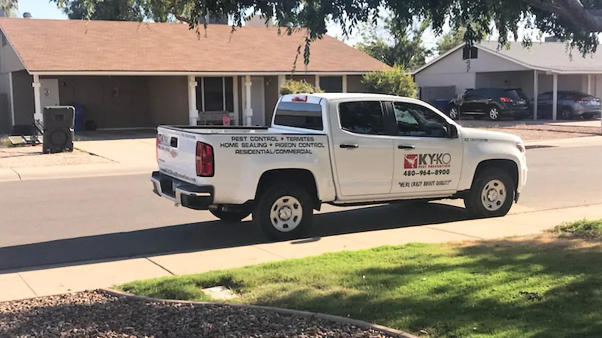 Make your home stress-free and pest-free with KY-KO!
