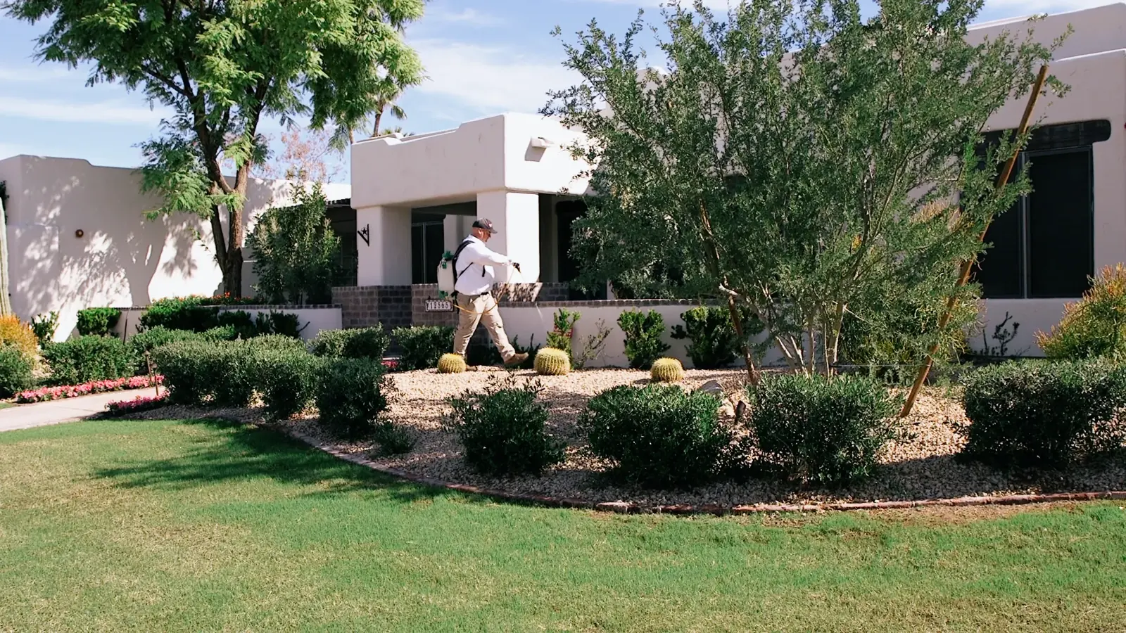 Technician treating a desert-landscaped yard