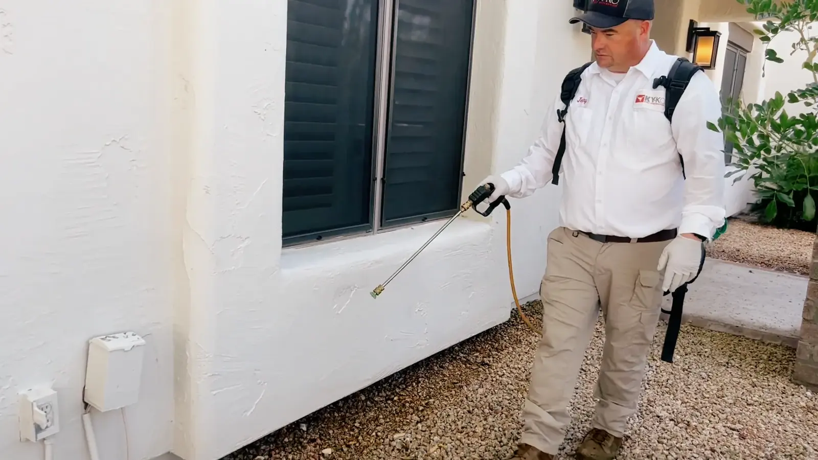 Essential Strategies to Keep Your Home Pest-Free in 2026