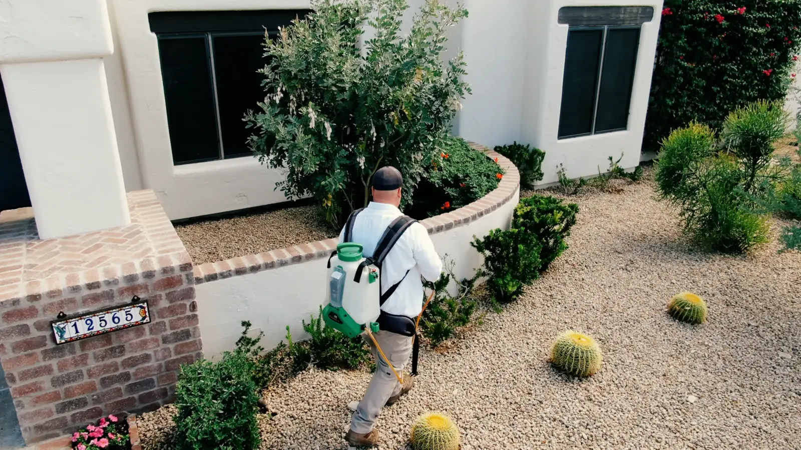 Technician walking a desert-landscaped yard