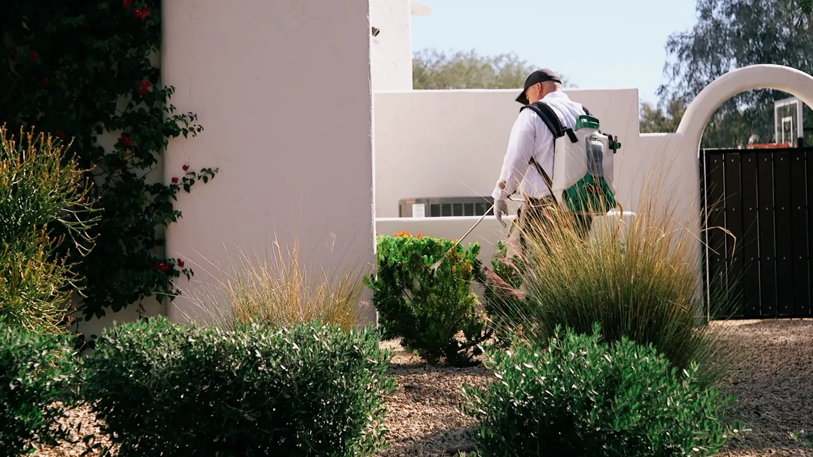 Technician working in a front yard