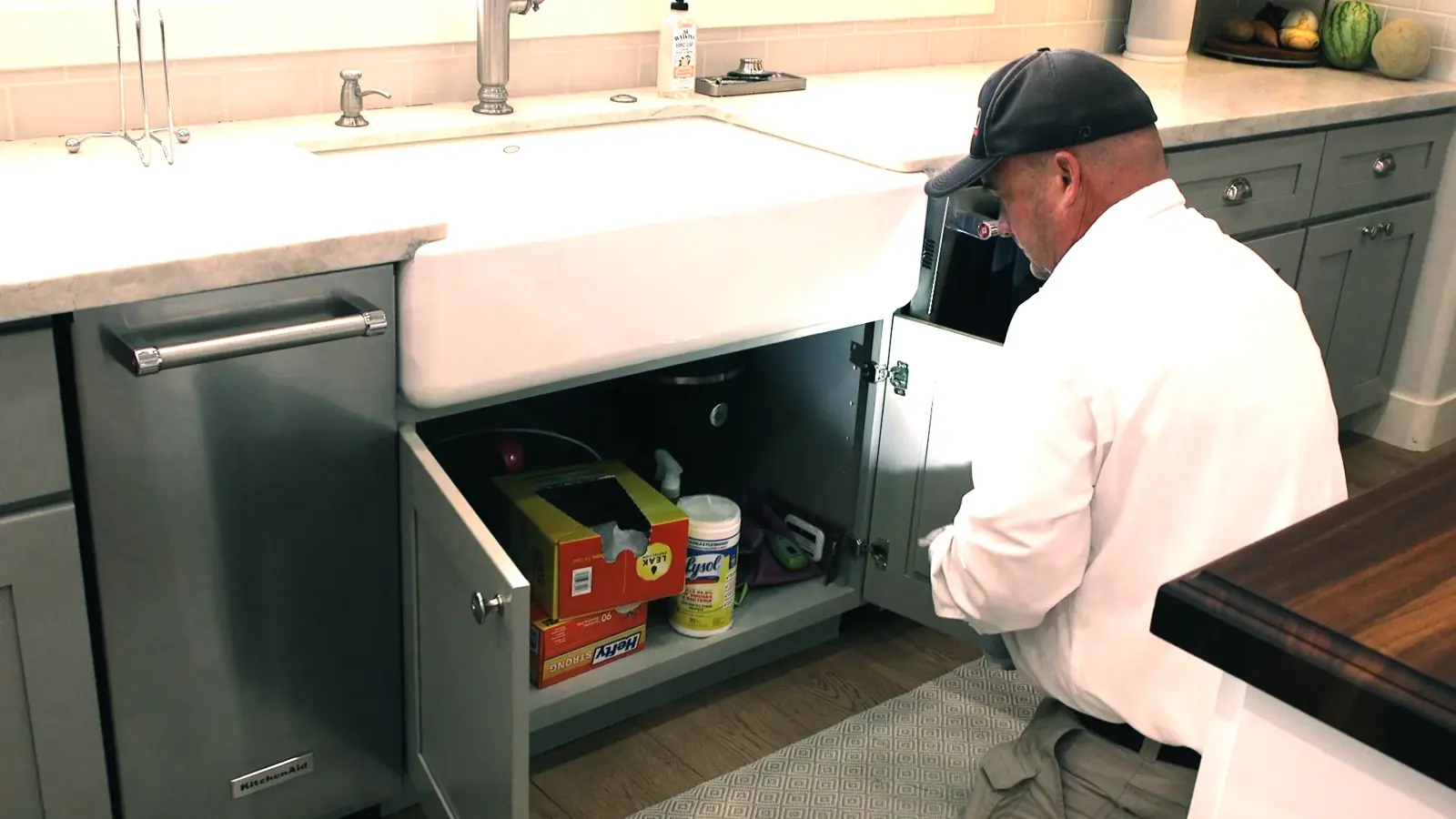 The Role of Pest Control in Maintaining Your Property Value