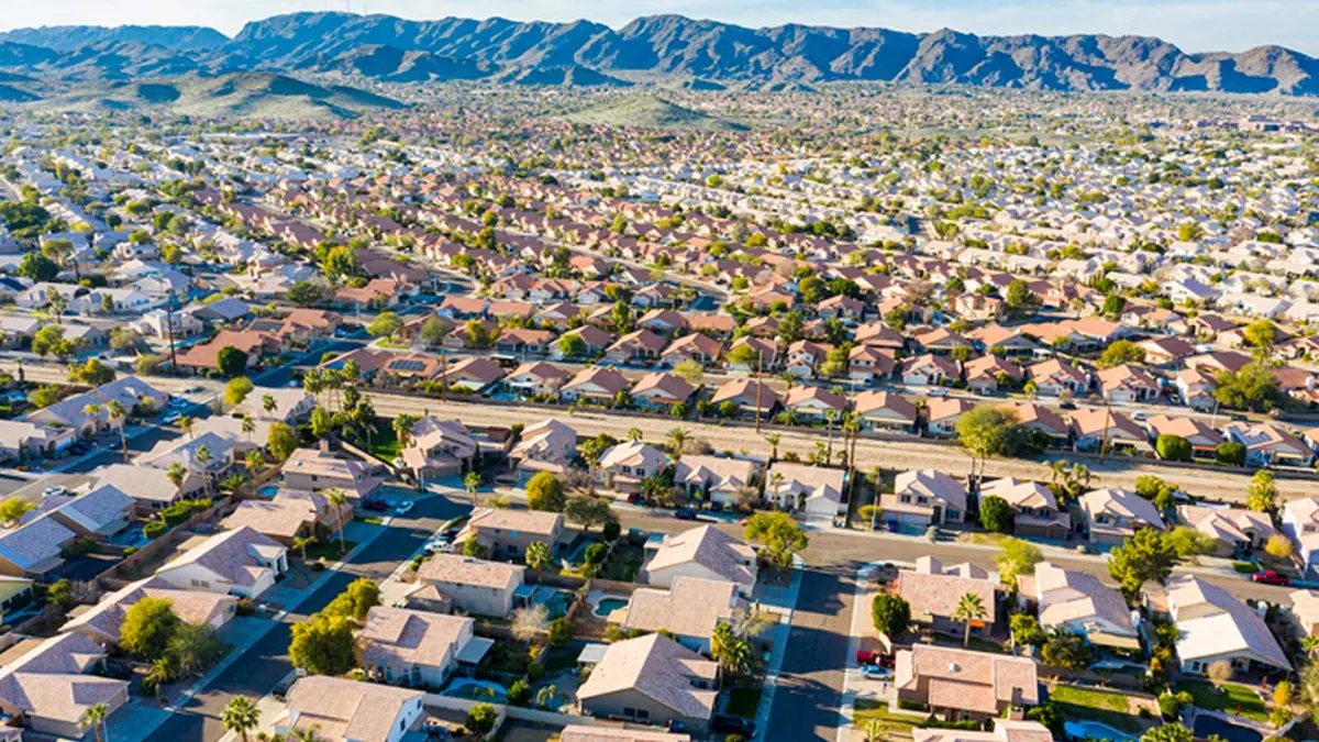 Arizona's Top 5 Scorpion-Prone Areas: Is Your City on the List?