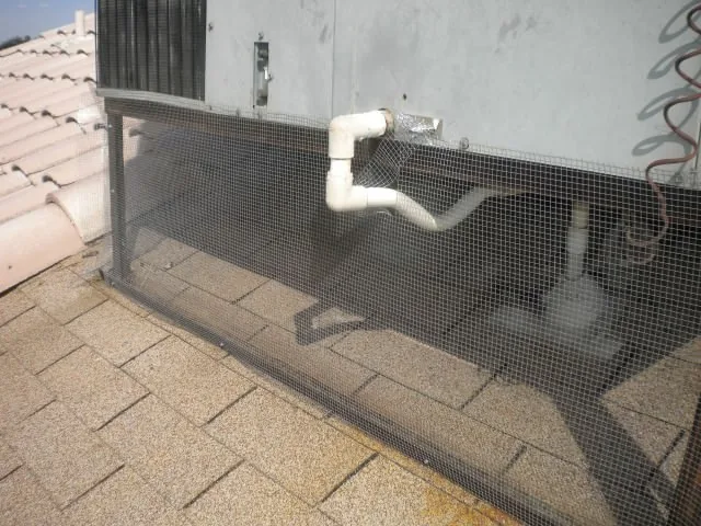 Pigeon netting under a tile roofline