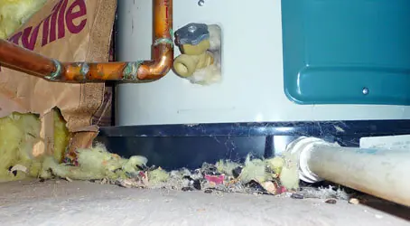 Rodent nesting debris behind a water heater