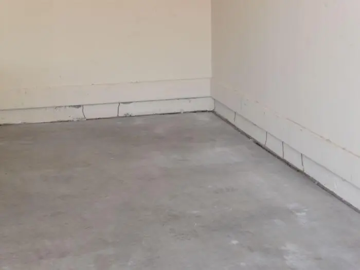 Termite mud tubes on a garage wall