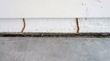Termite mud tubes at the base of a stucco wall