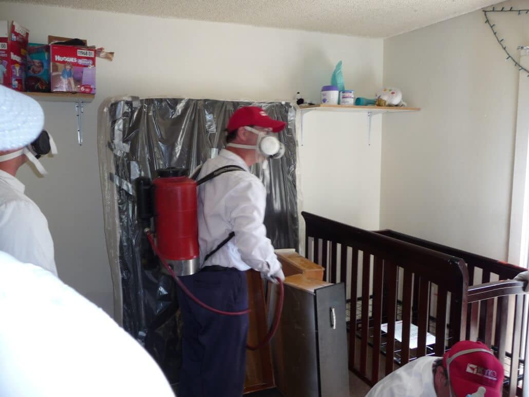 professional-bed-bug-treatment