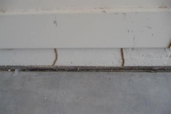 These termite mud tubes were found in the garage of a Chandler, AZ home, and are a sure sign of termite activity.