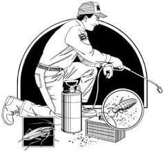 How Often Should You Avail Pest Control Services