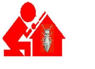 Signs of Termite Infestation
