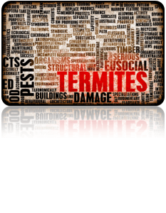 The Best Services by the Best Exterminators- AZ, Phoenix