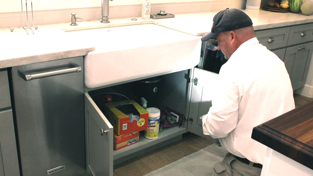 pests-under-sink