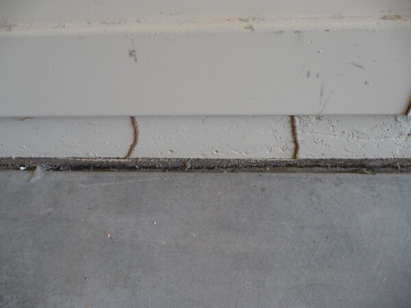 Most home insurance policy plans do not cover the damage caused by termites. Watch for termite tubes like these around your property.