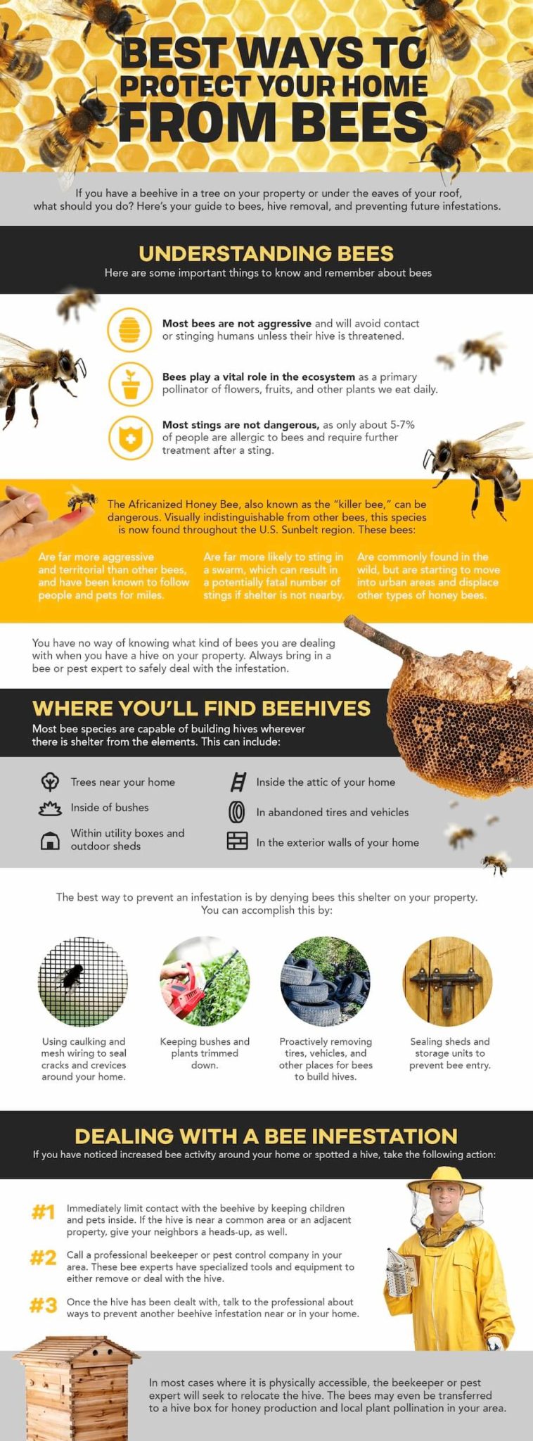 This infographic has everything you need to know about bees and beehives, as well as how you should deal with a hive near your home.