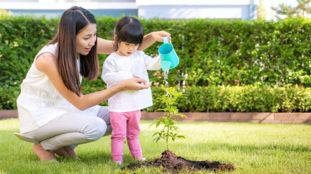 Valley-wide, we're known for our environmentally friendly approach to pest control, making us the team to call for green pest control in Phoenix.