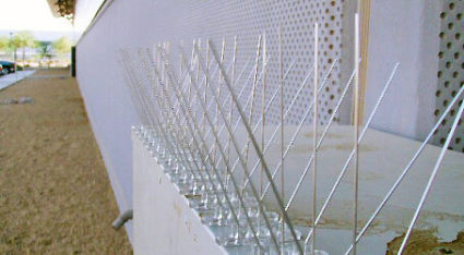 We help Valley homes and businesses keep pigeons off of their property by installing bird spikes for pigeons here in Phoenix.