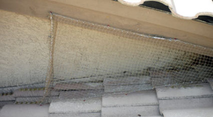 Keep pigeons out of your attic and off your roof with pigeon control solutions like this wire netting.