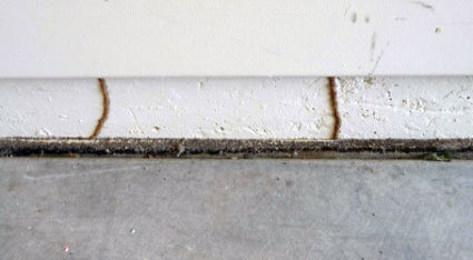 Subterranean termites create mud tubes on your home's foundation to climb up and access the structure itself.