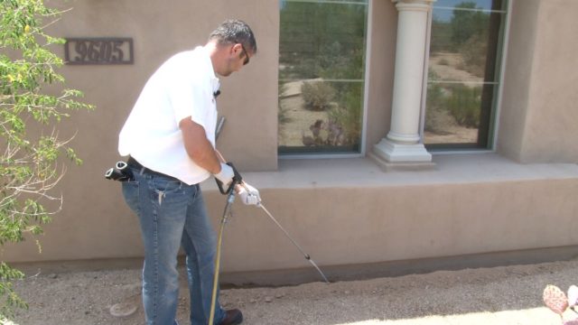 Termite Trench Spray Treatment