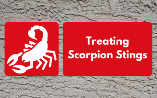 Here's what you need to know about treating bark scorpion stings.
