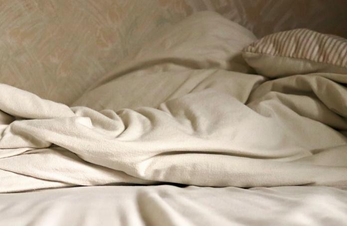 bedbugs infestation