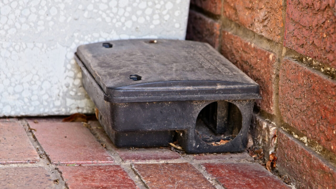 Rodent-trap